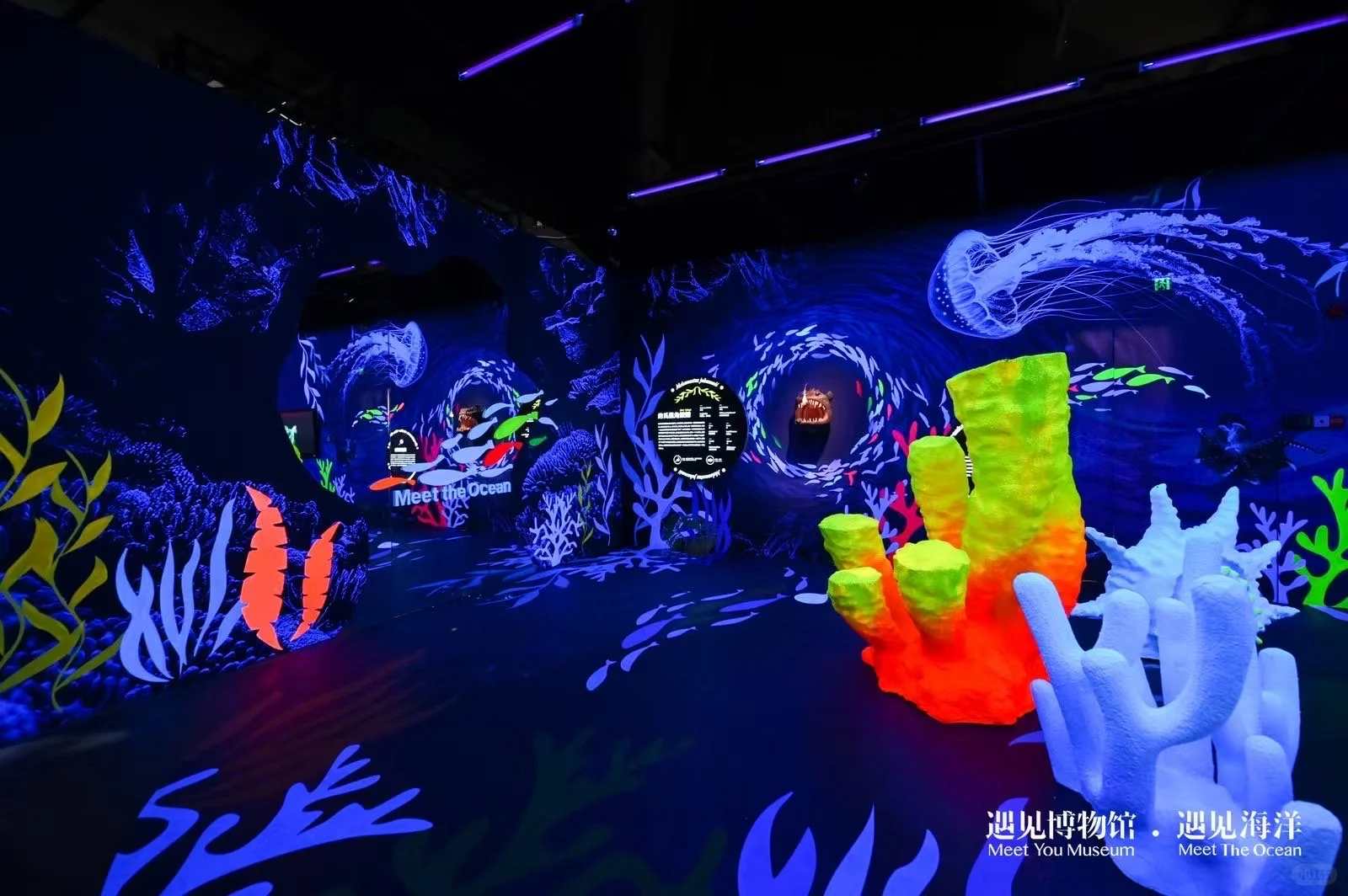 ?#遇见海洋奇幻光影展?
