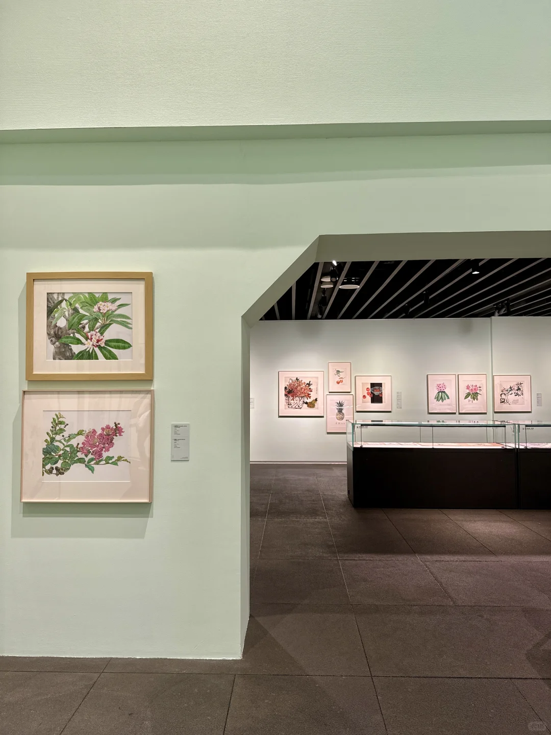 深圳新展！植物的美好香气，隔着屏幕都闻到了