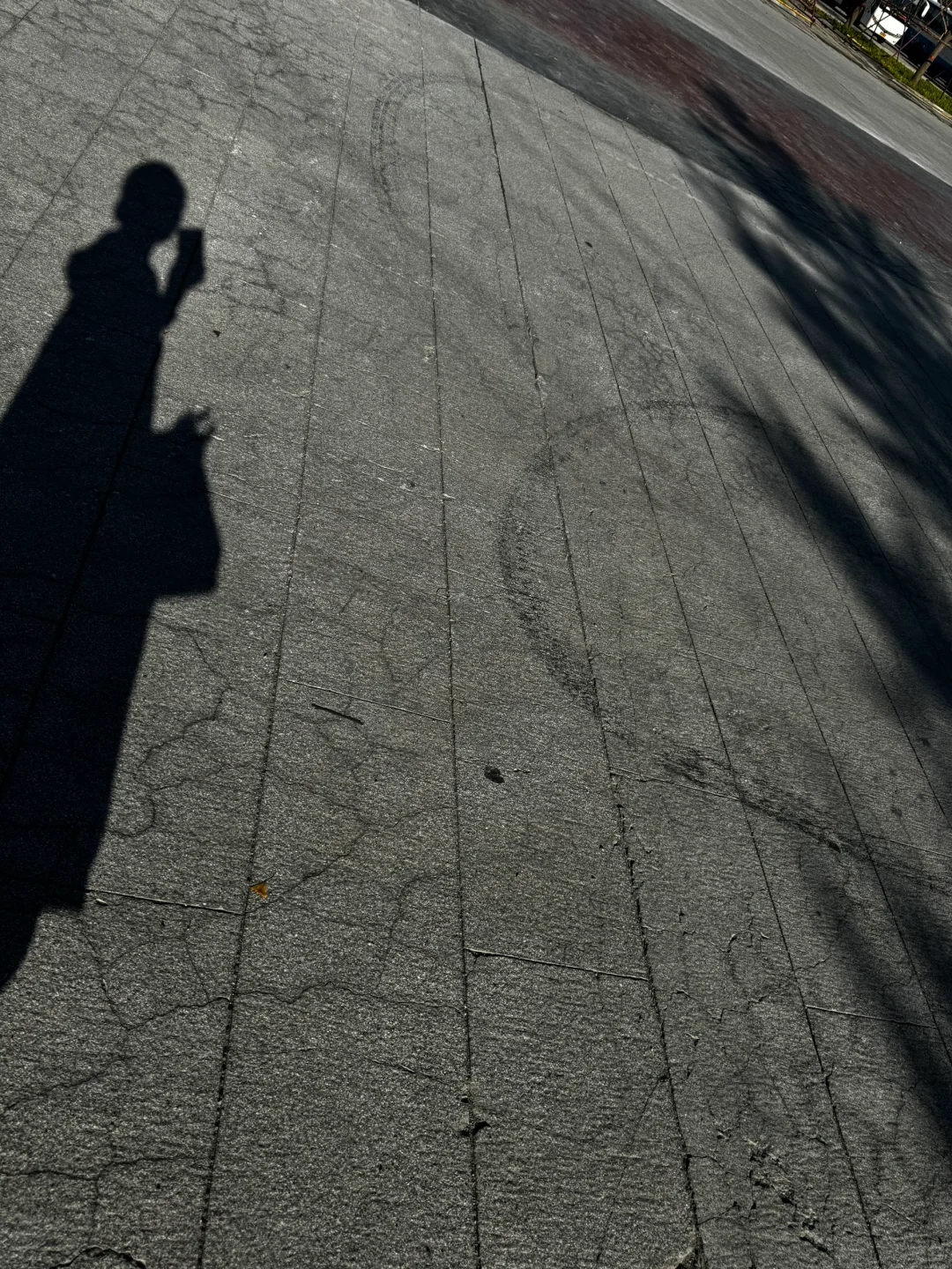 推介会两天摘牌 南航上岸