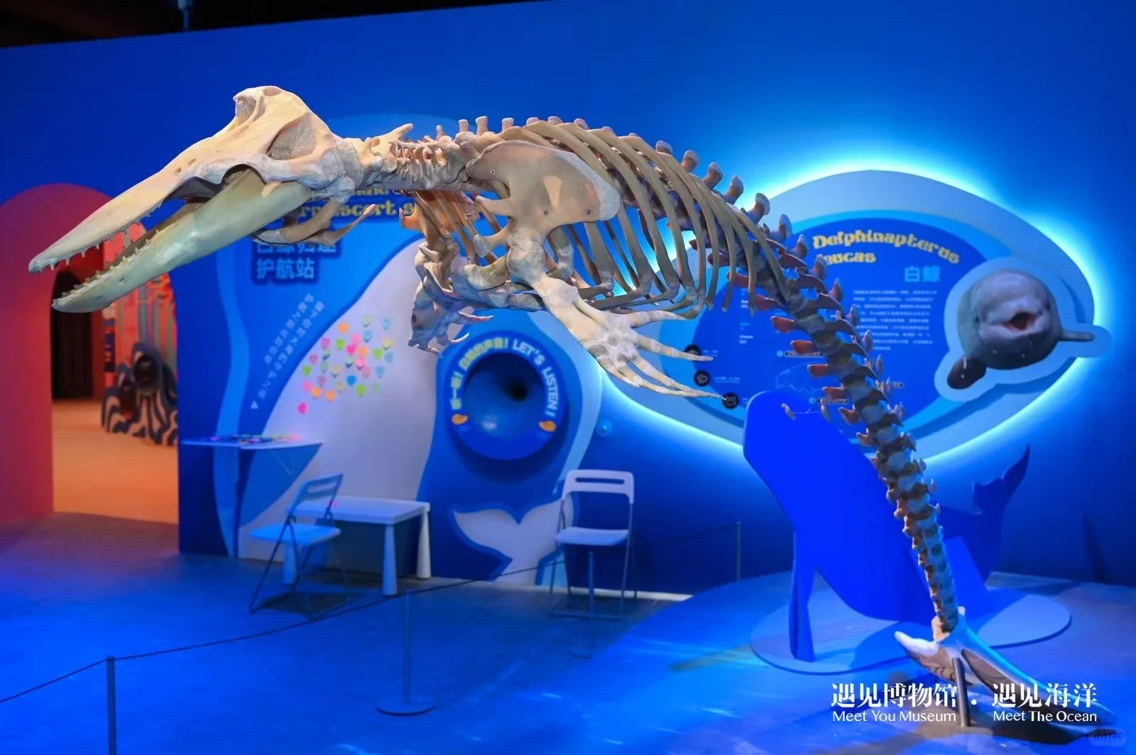 ?#遇见海洋奇幻光影展?