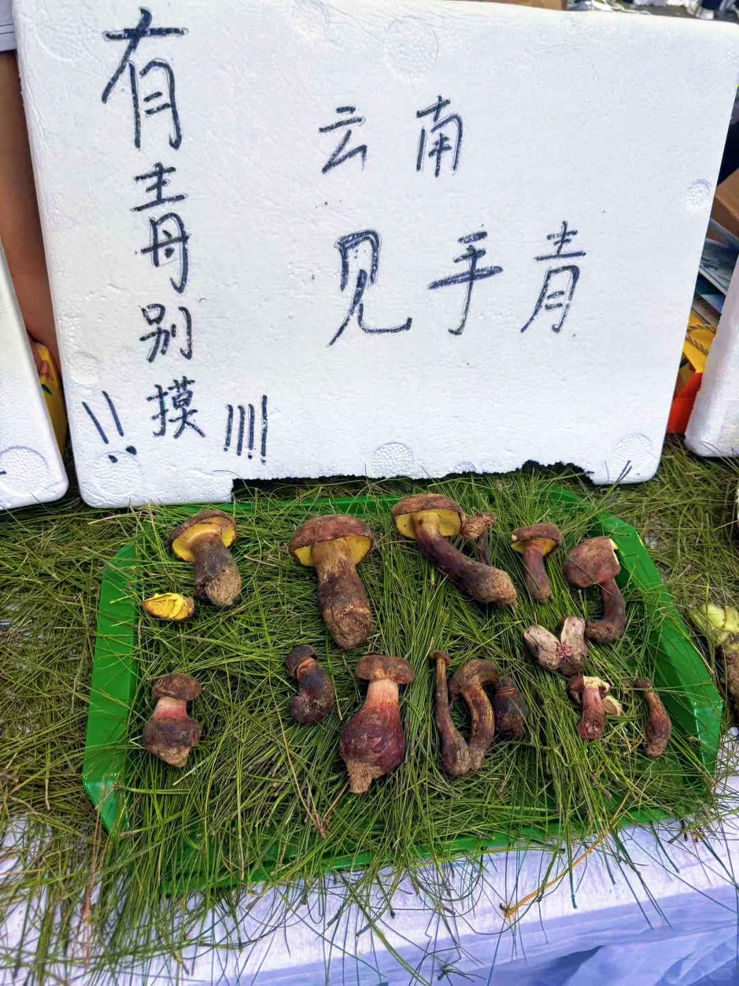 亚欧博览会｜偶遇的篮球场