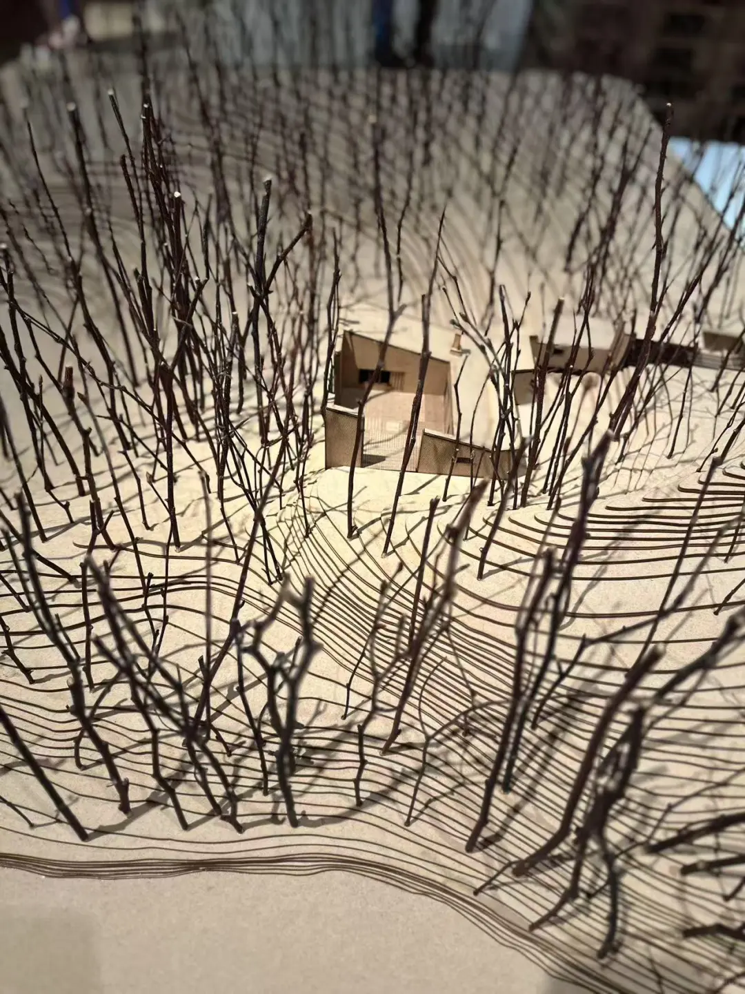 ??东京国立新美术馆建筑设计展??