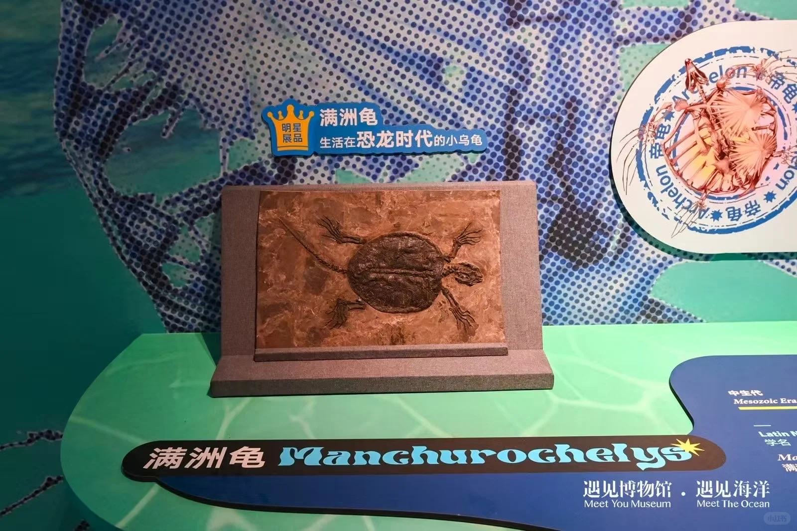 ?#遇见海洋奇幻光影展?