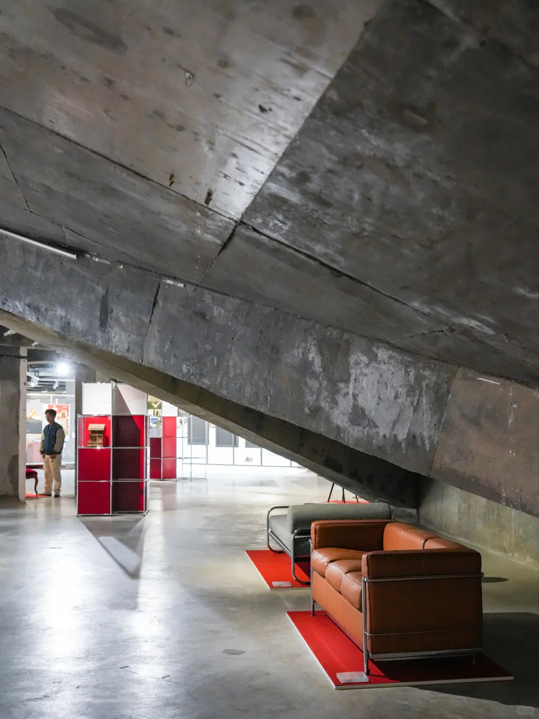 ??南京看展｜瑞士设计百年发展之路