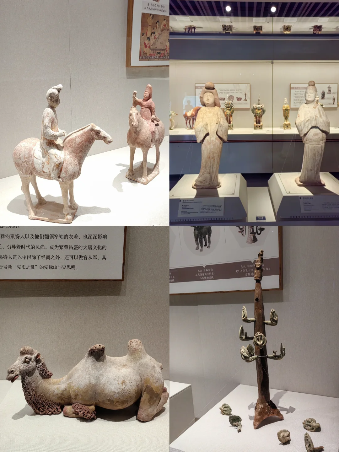 众神之下 万神之巅?️深圳博物馆新展