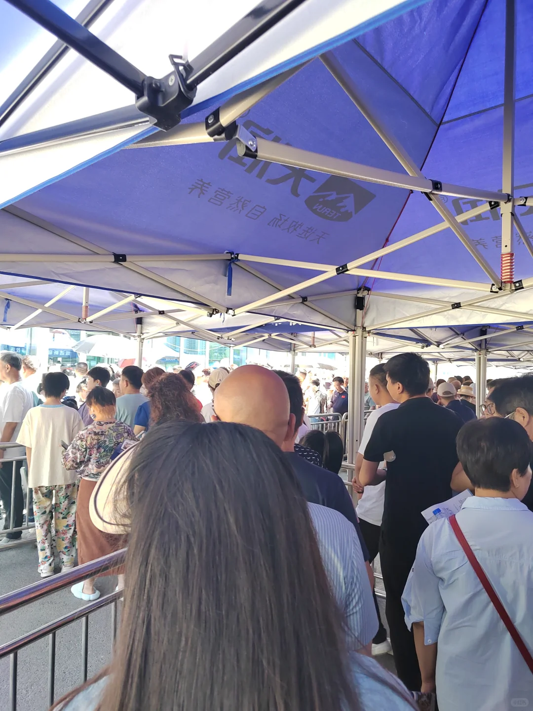 亚欧博览会羊毛指南?