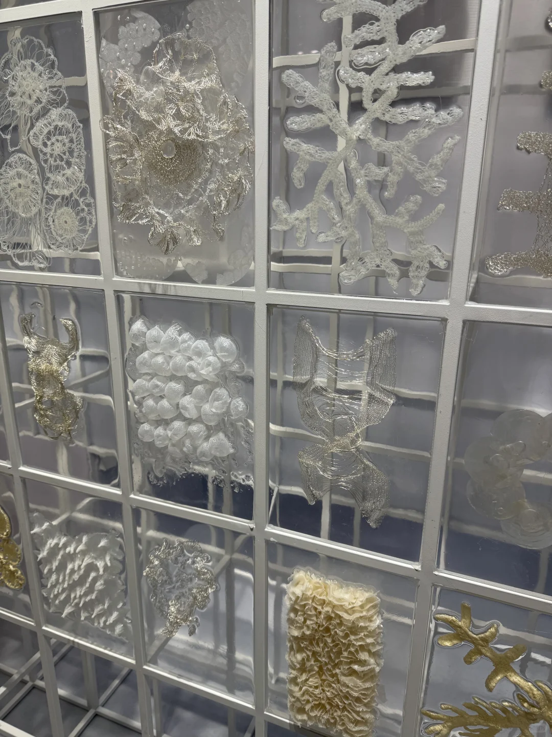 ｜看展｜2025概念材料