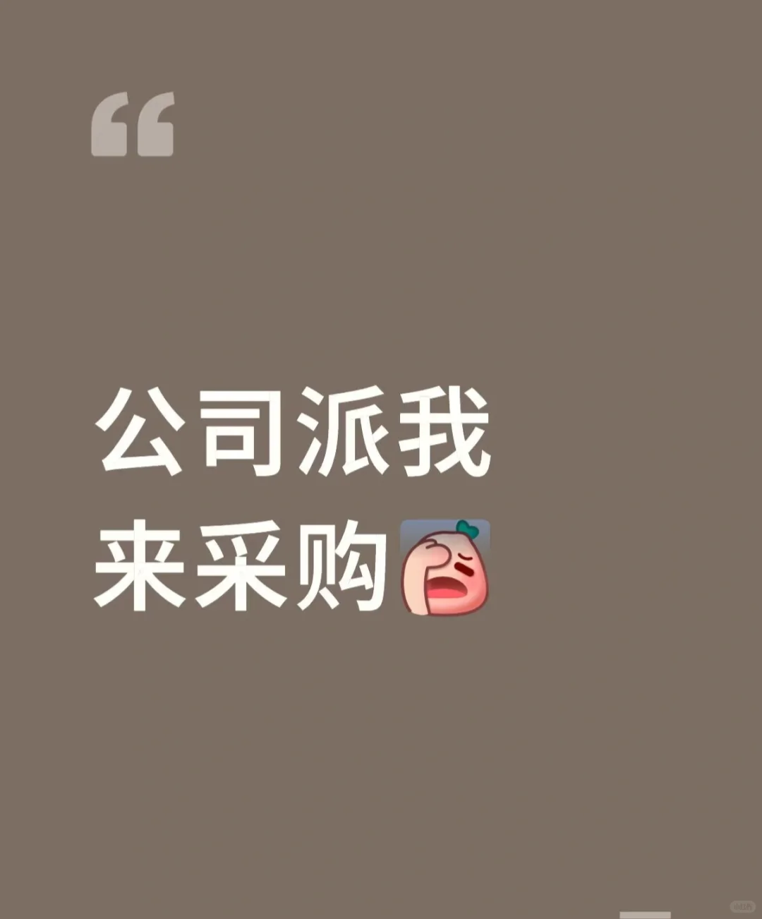 公司派我来采购