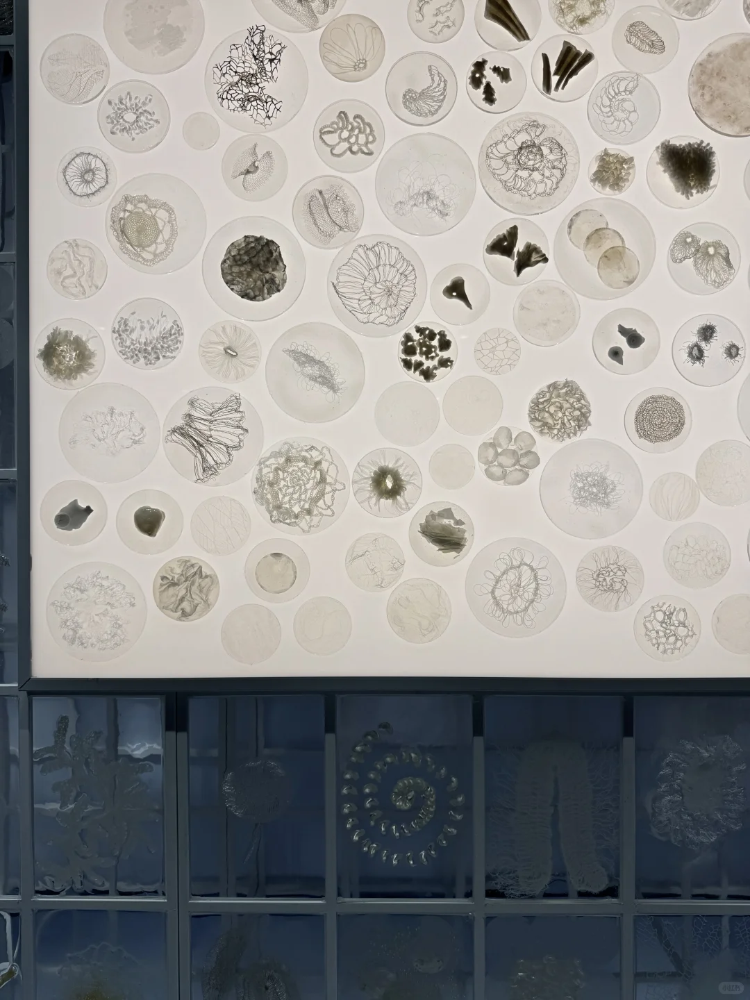 ｜看展｜2025概念材料