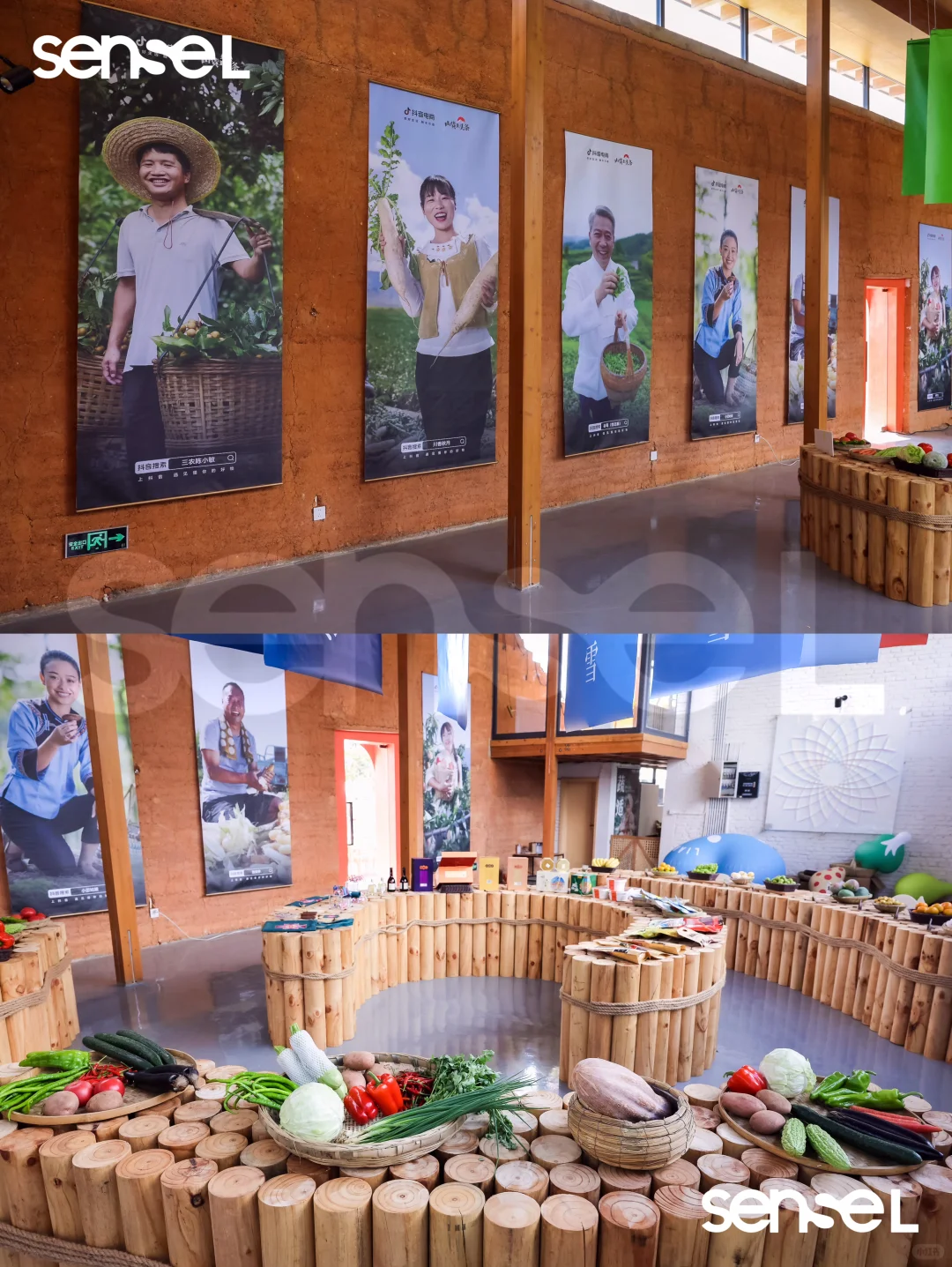 攀枝花案例|抖音电商丰收嘉年华