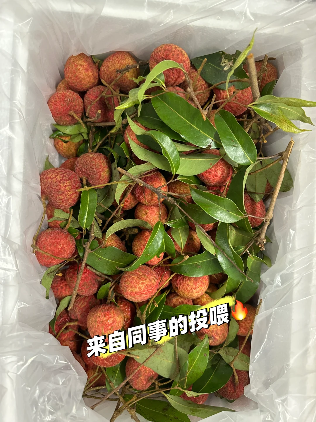 我又又又离职啦