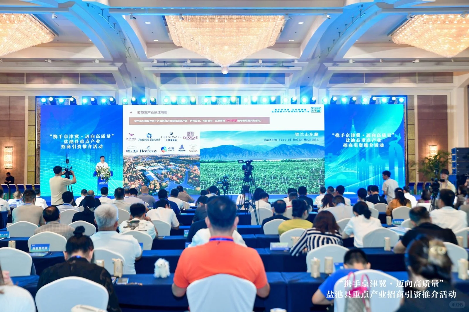 主持人 | 全程都在闻滩羊肉味儿啦?