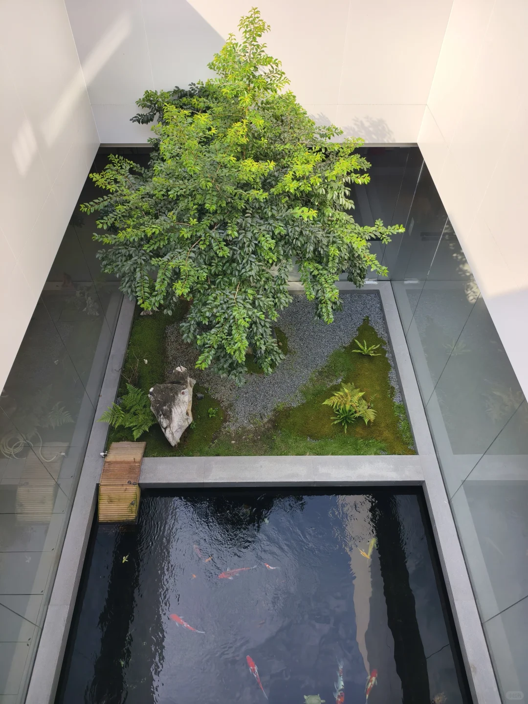 广东新展‼️3000平庄家7美术馆震撼到我了