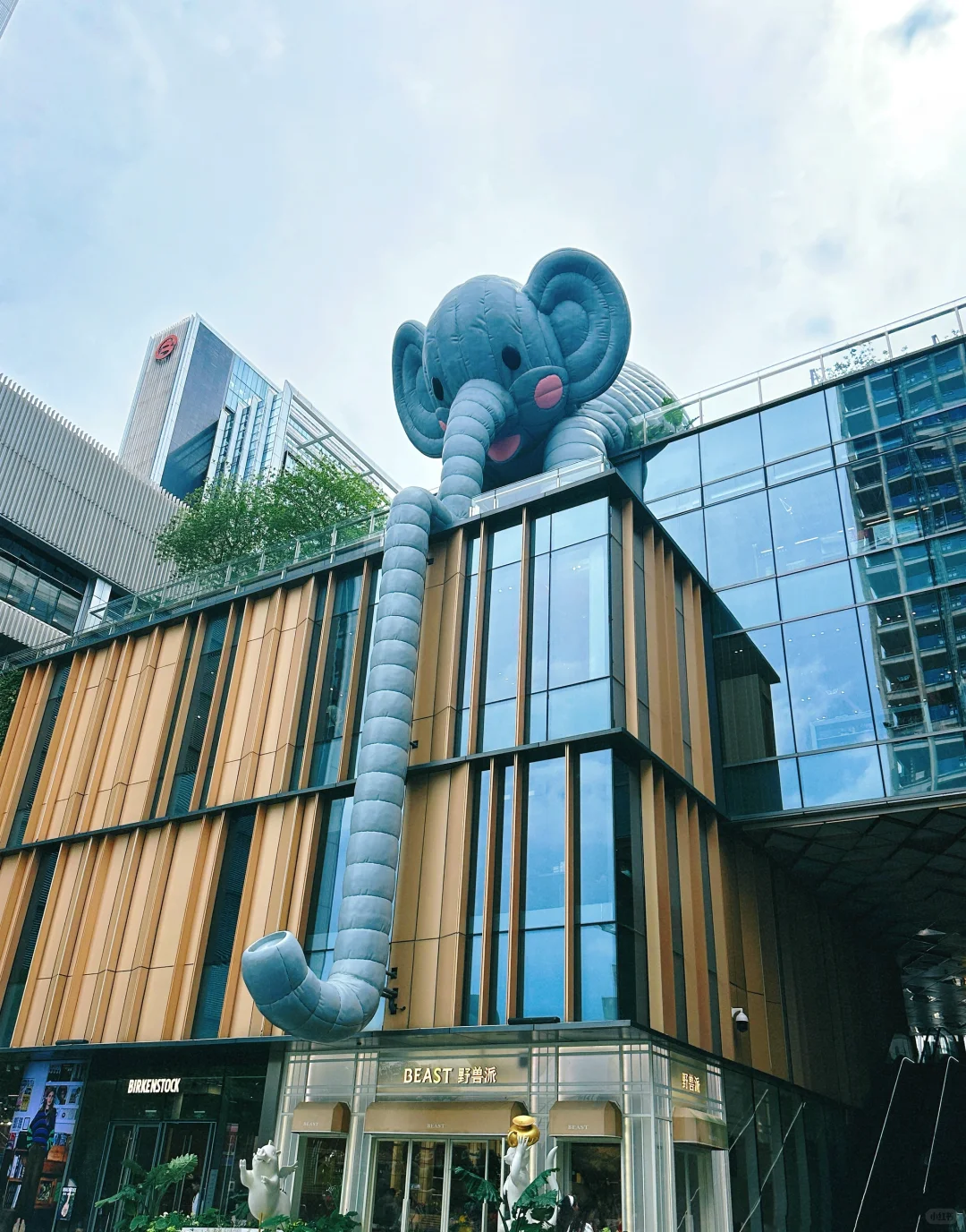 末班车巨人展，不是展，人是巨