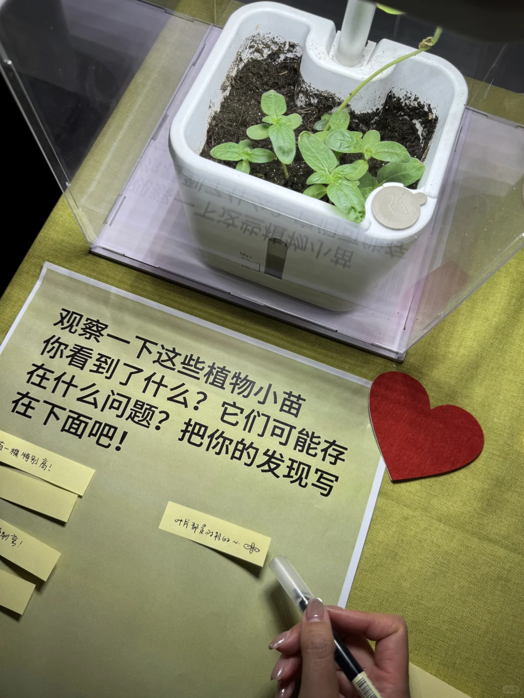 清华美院｜硕士研究生毕业展信息艺术设计系