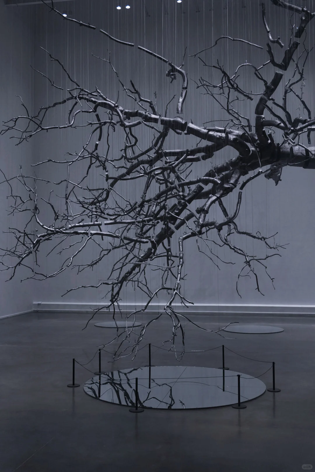 走进西贝当代艺术馆