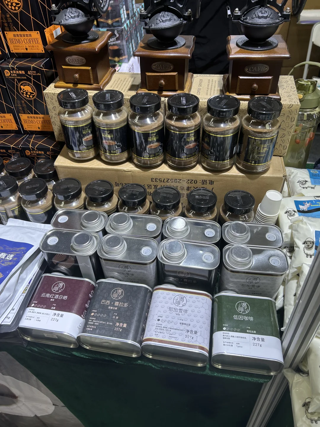 太滋润了好博会