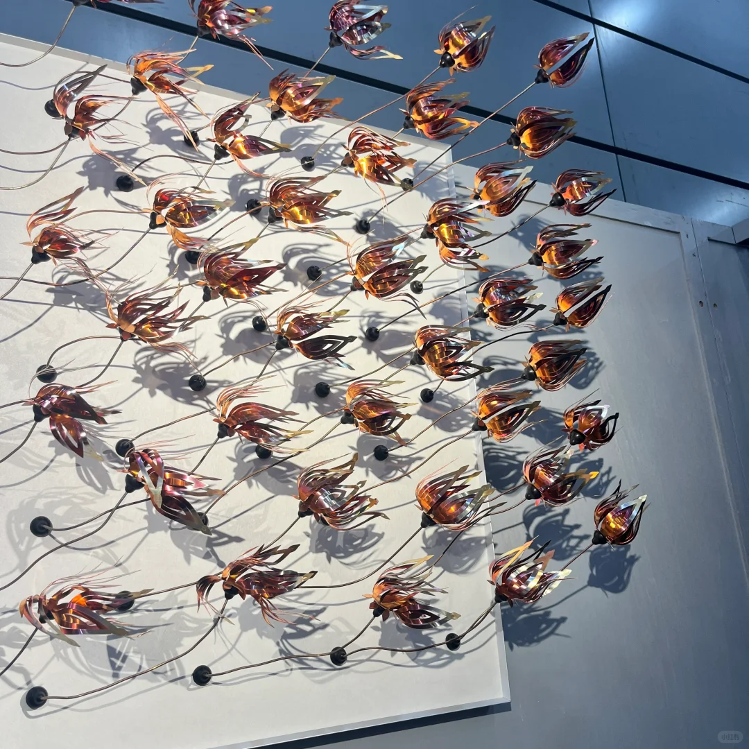 【2024 设计深圳】 3/22 作为普通观众的思考