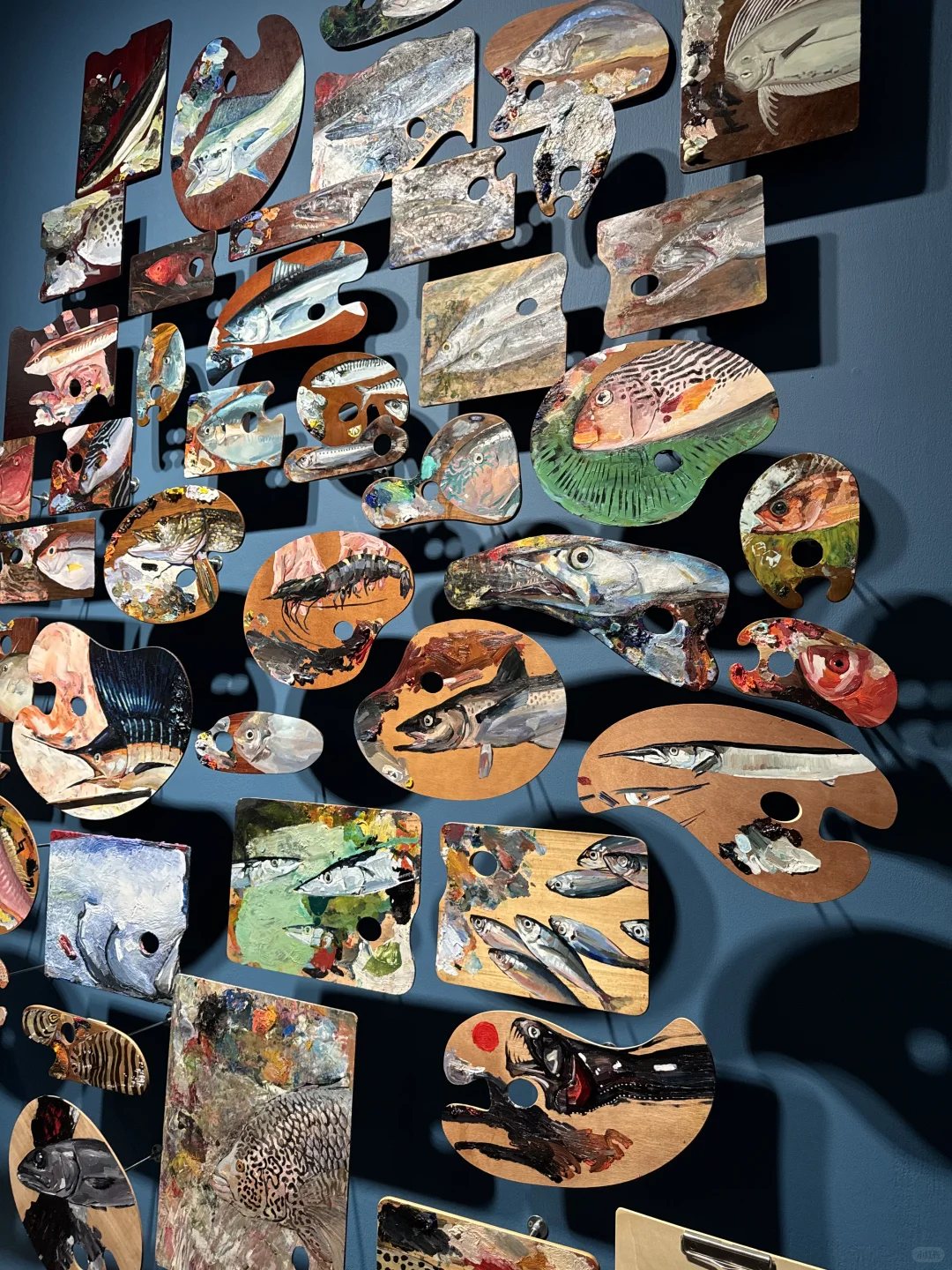 央美毕业设计展day1｜逐光而行 与光同行