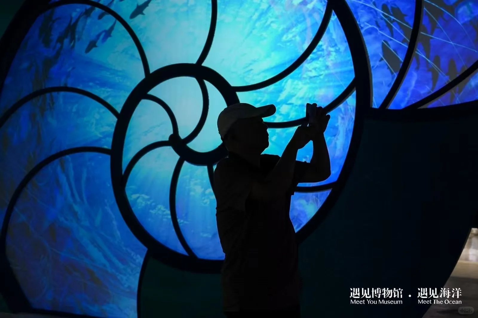 ?#遇见海洋奇幻光影展?