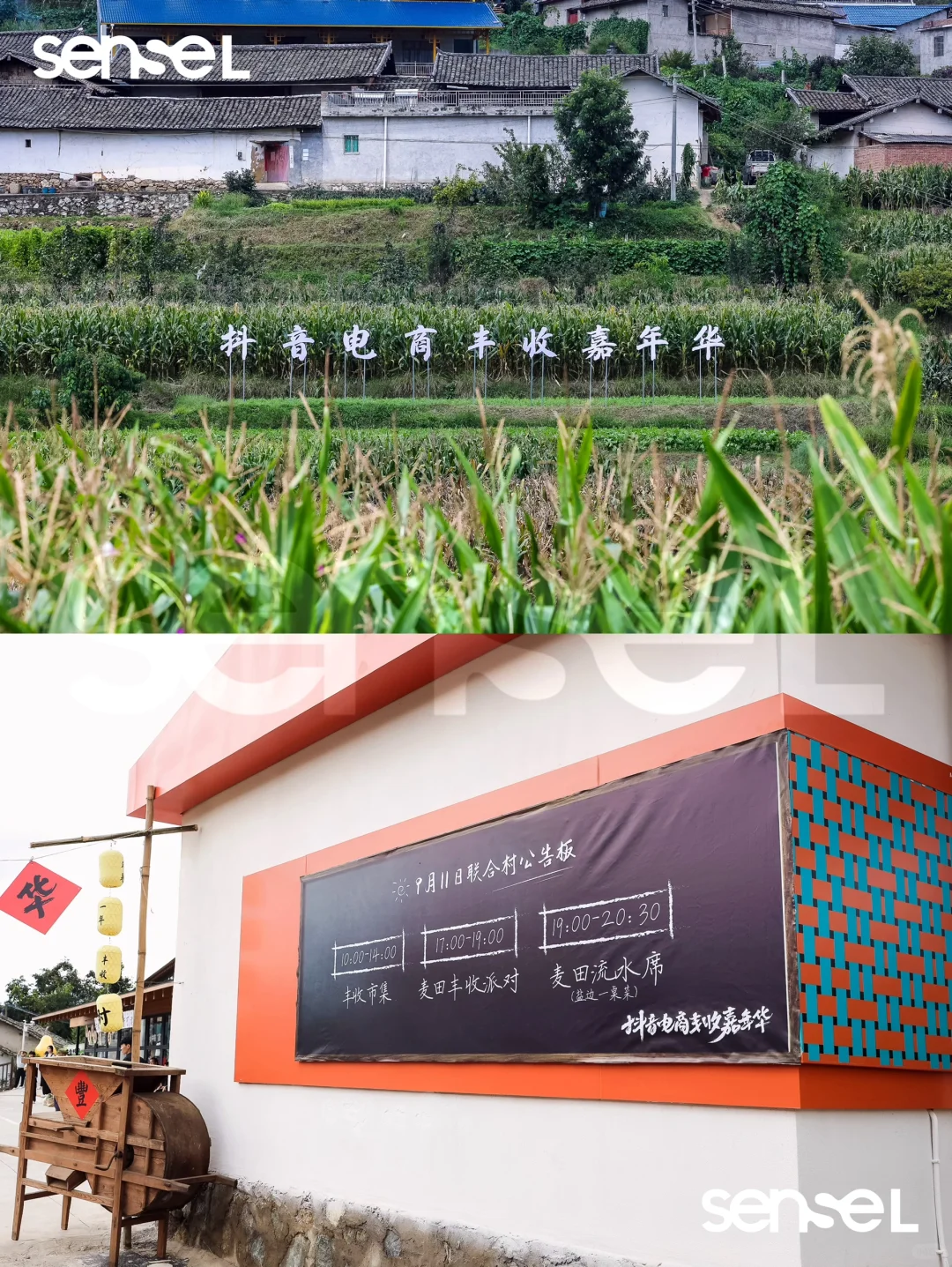 攀枝花案例|抖音电商丰收嘉年华