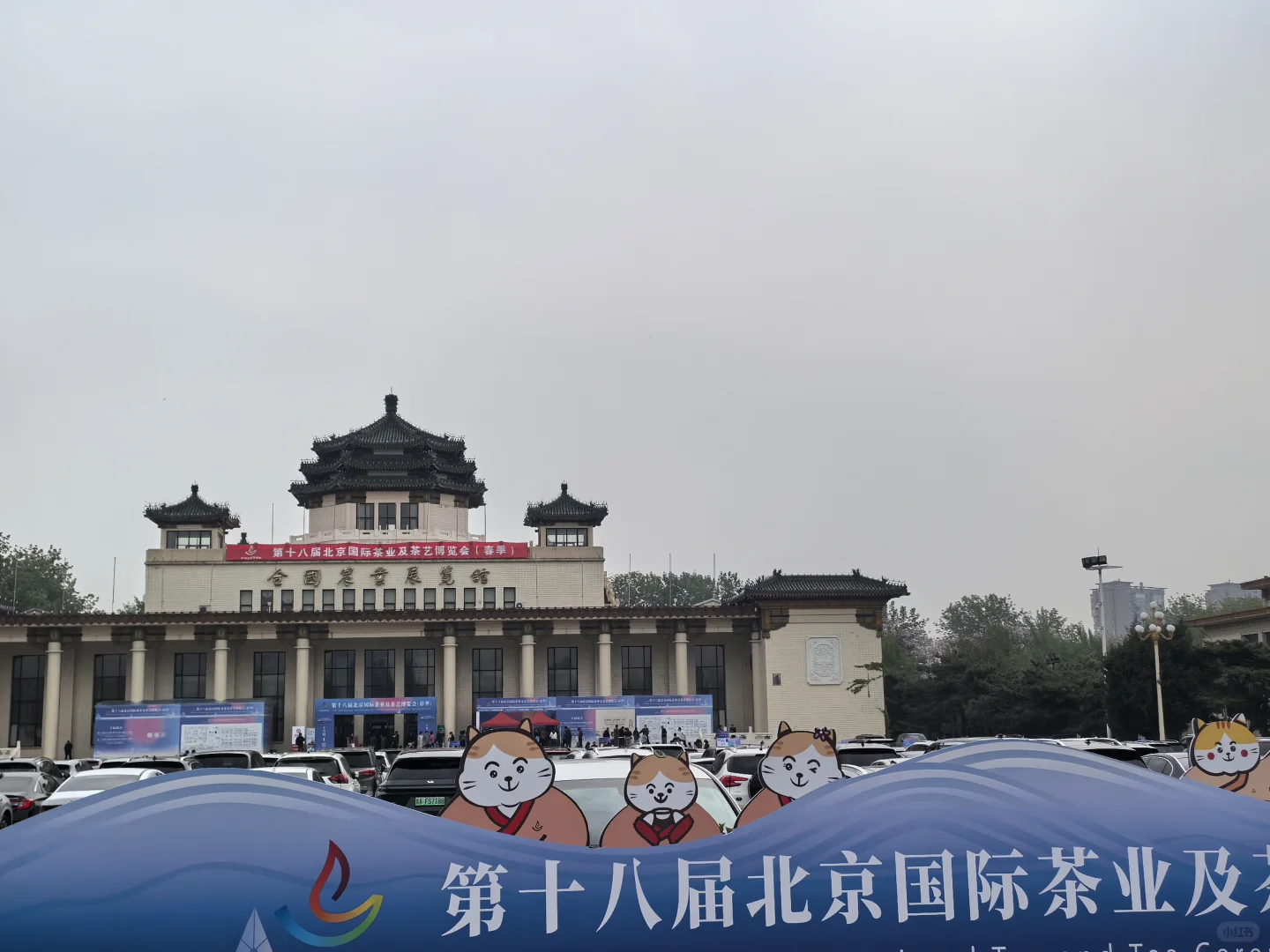 第十九届北京茶博会