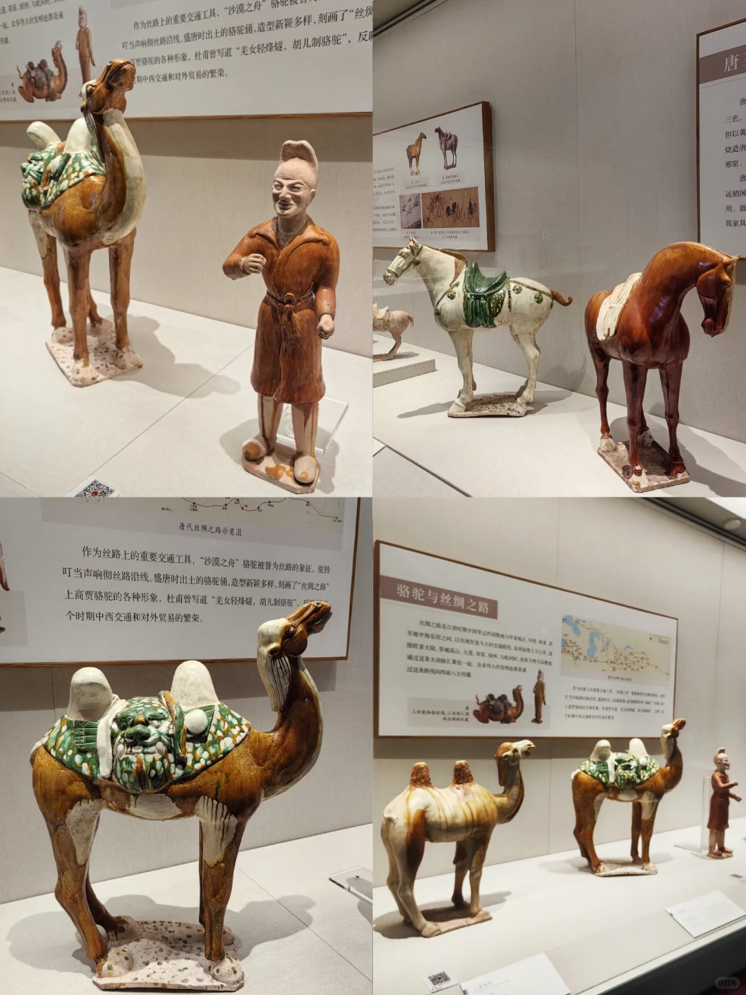 众神之下 万神之巅?️深圳博物馆新展