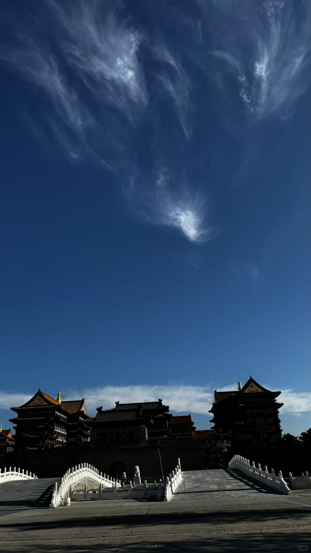 推介会两天摘牌 南航上岸