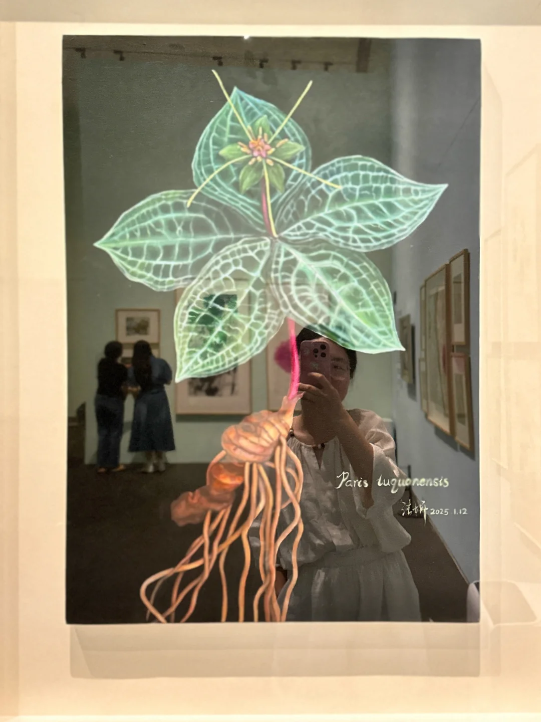 深圳新展！植物的美好香气，隔着屏幕都闻到了