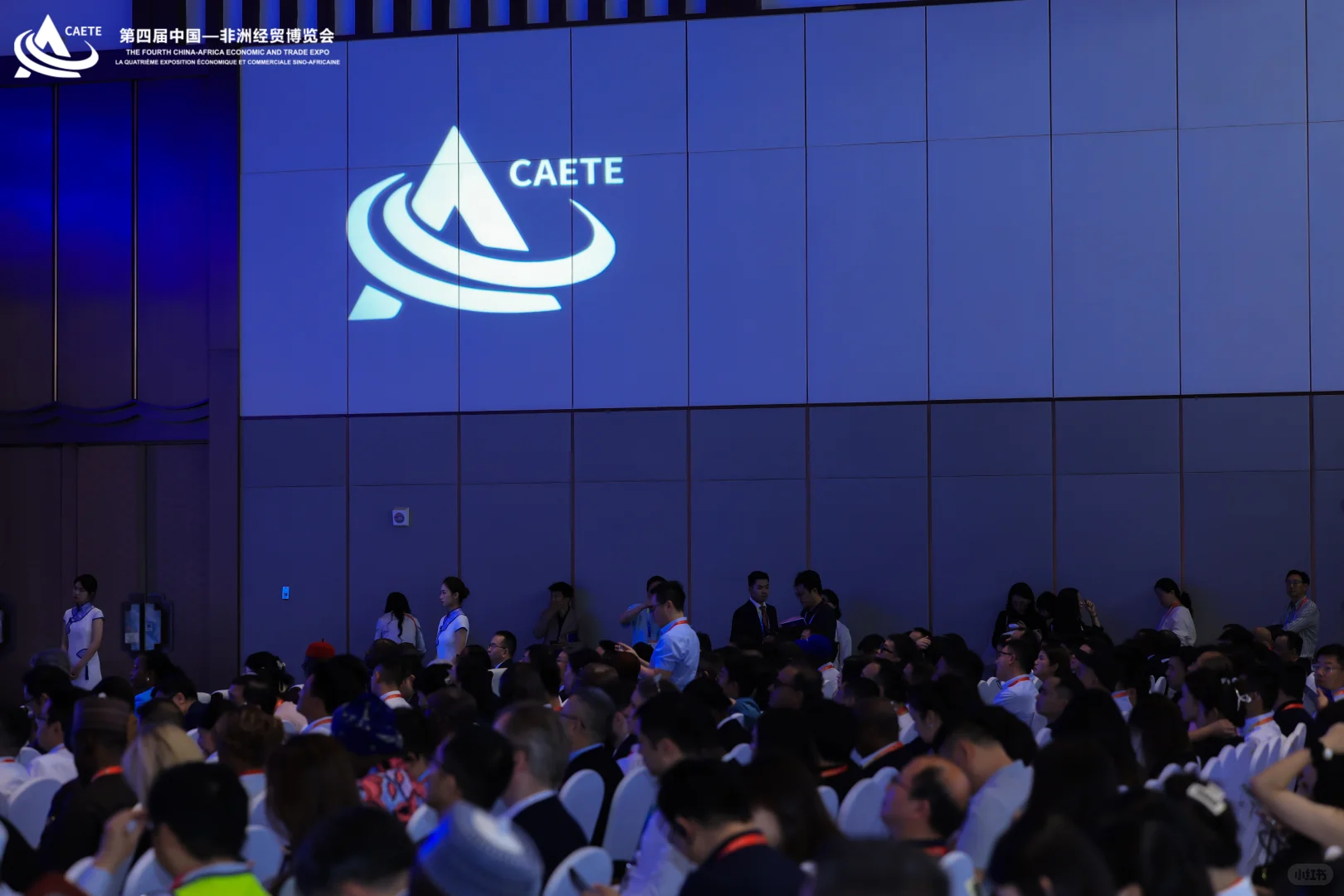 主持中非博览会是一种什么样的体验??