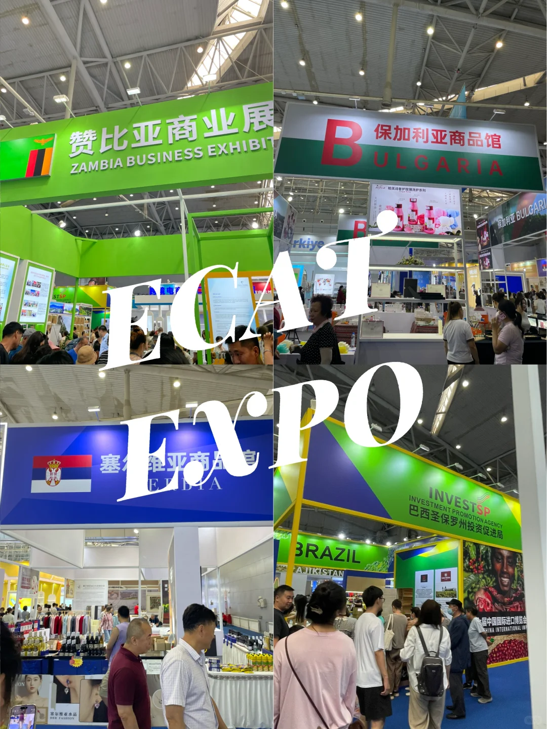 研0如何填满生活｜赴约亚欧博览会?