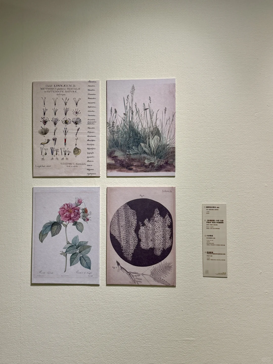 深圳新展！植物的美好香气，隔着屏幕都闻到了