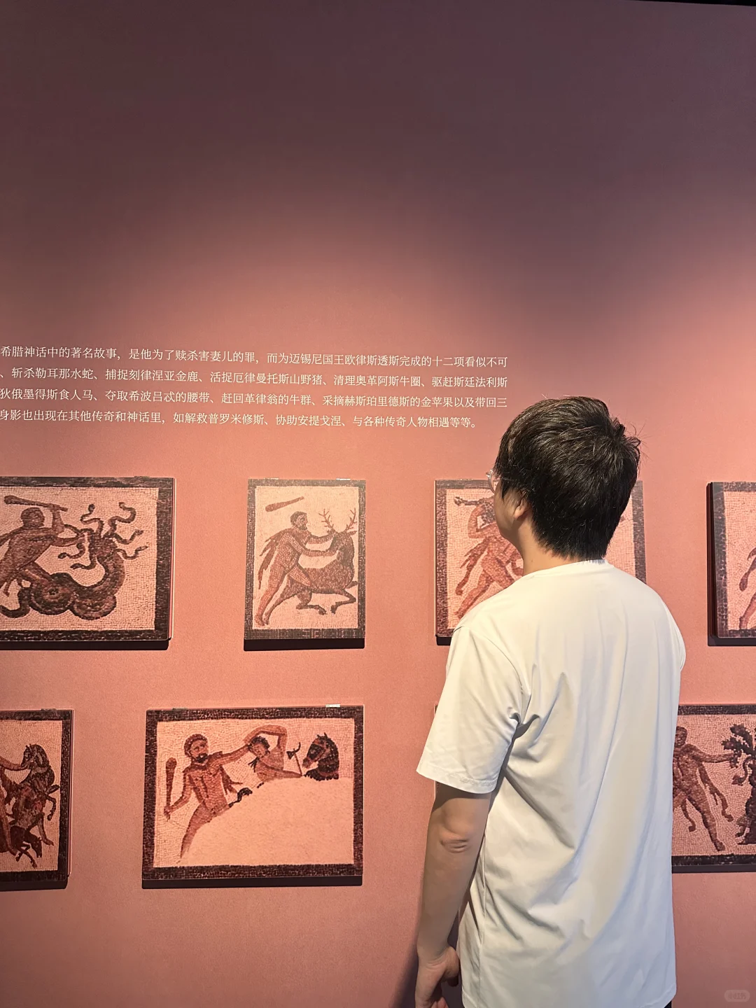 众神之下 万神之巅?️深圳博物馆新展