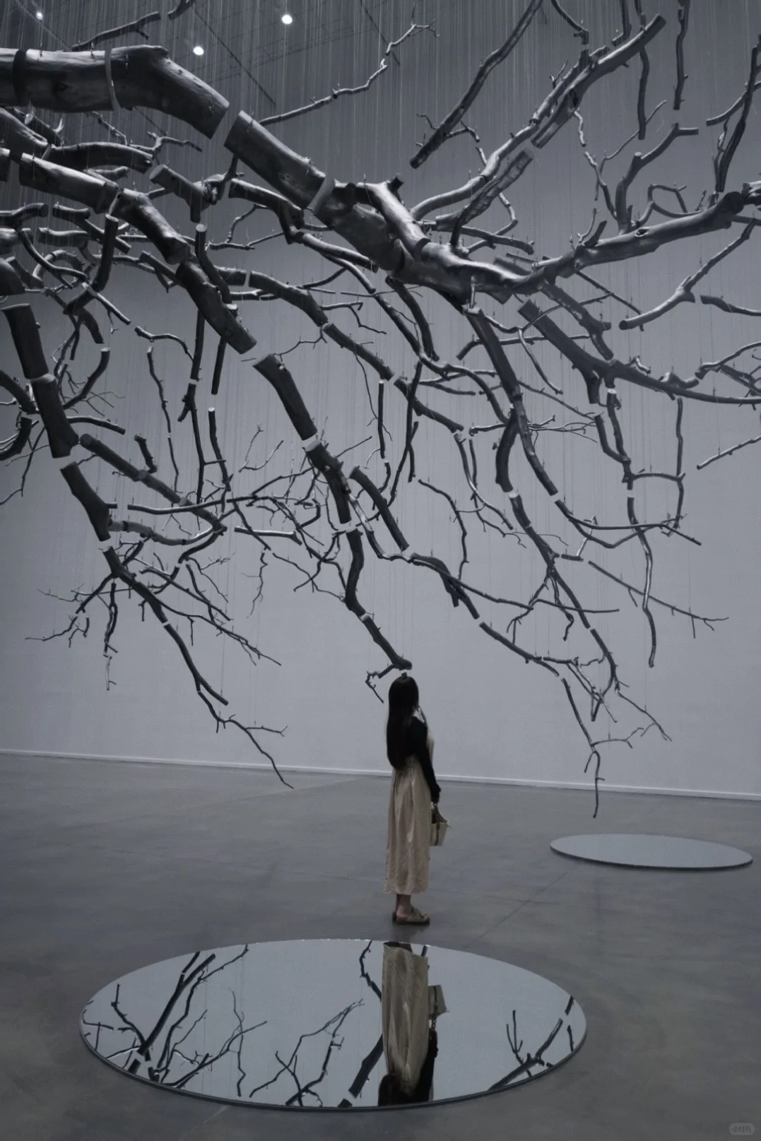 走进西贝当代艺术馆