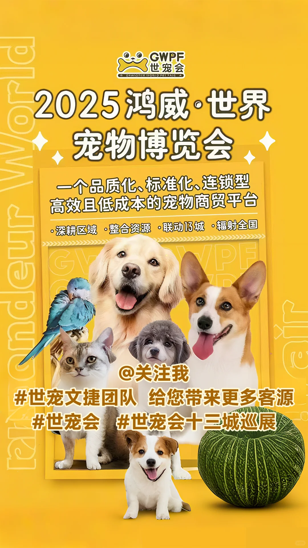 7.4-6世宠会温州宠物展宠物门店打卡领攻略