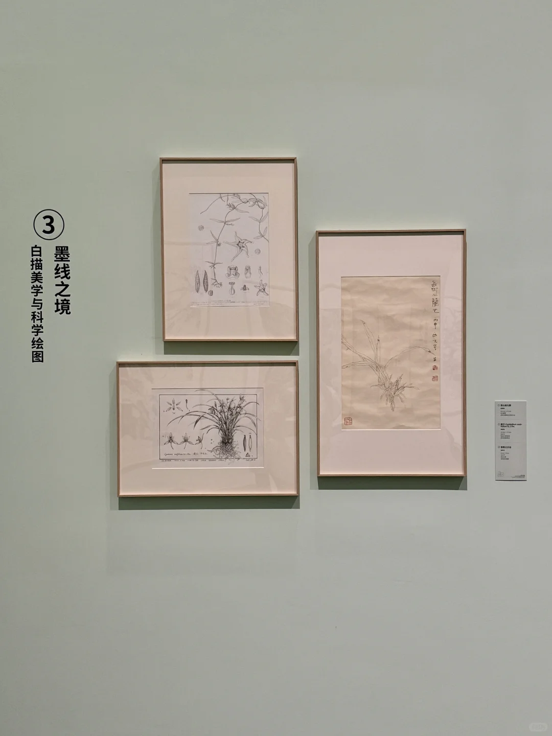 深圳新展！植物的美好香气，隔着屏幕都闻到了