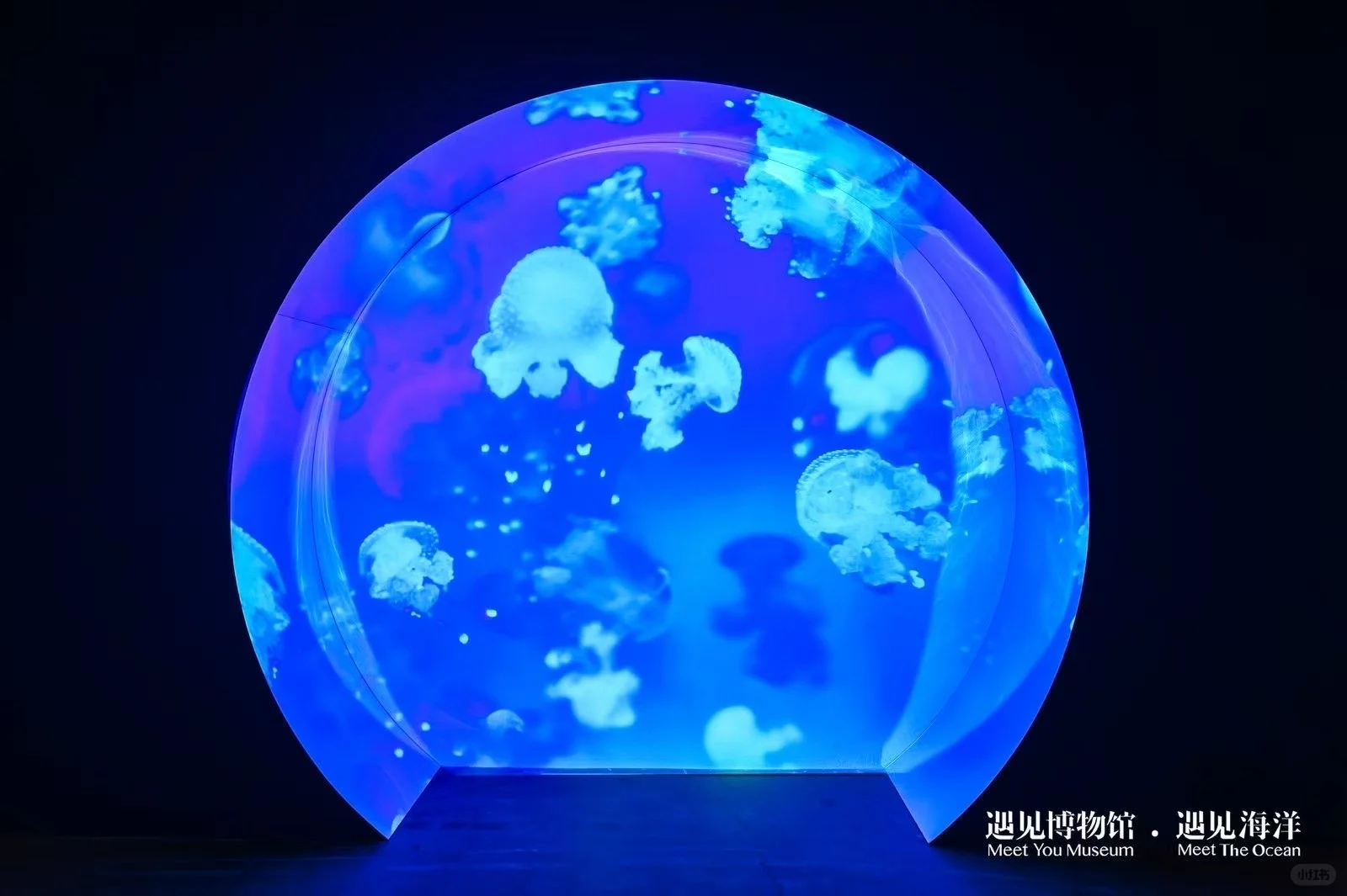 ?#遇见海洋奇幻光影展?