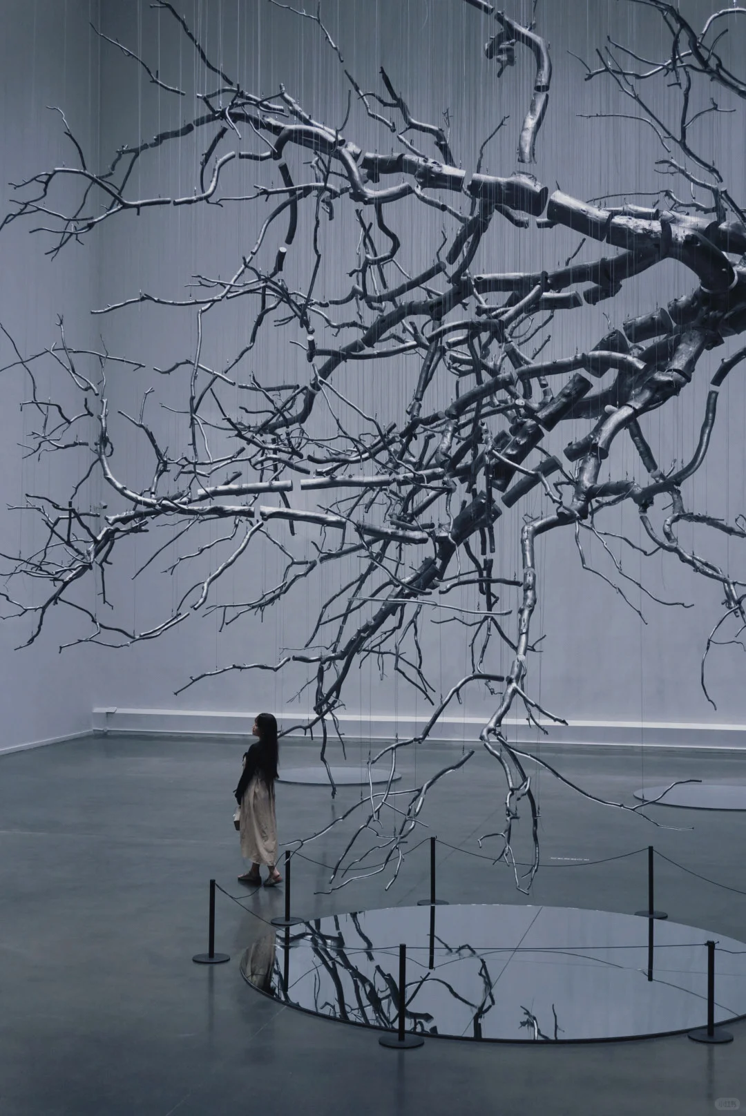 走进西贝当代艺术馆