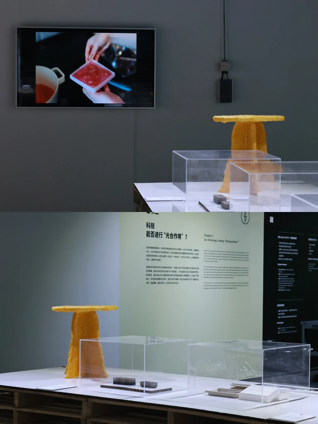 2025可持续设计展in成都｜作品参展记录?