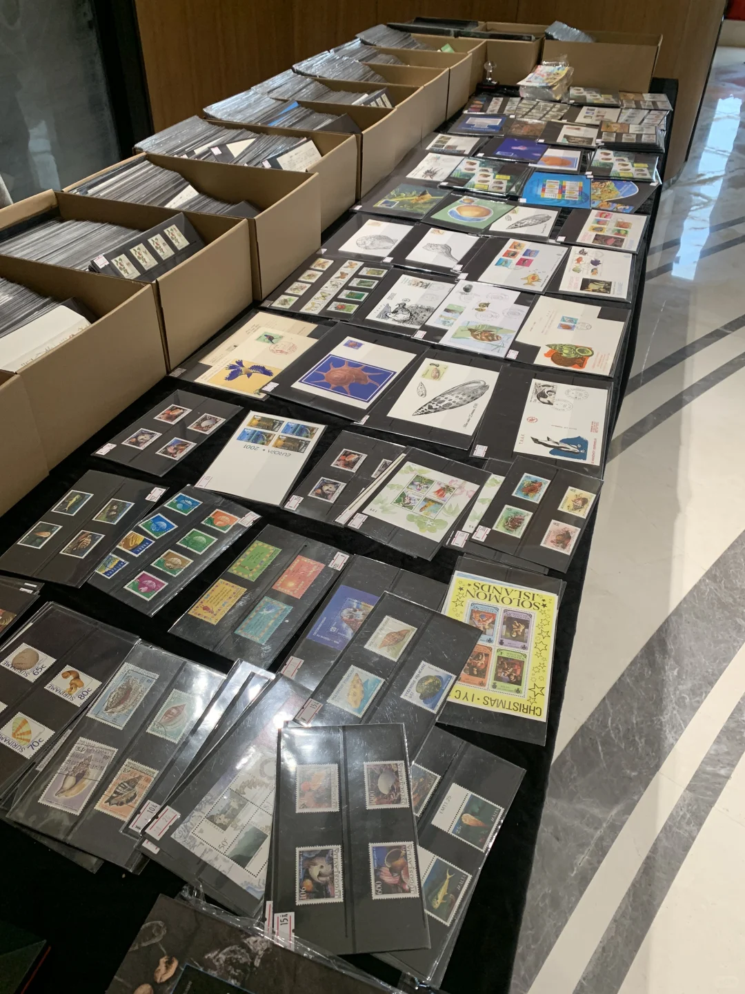 上海贝壳展，攻略来了