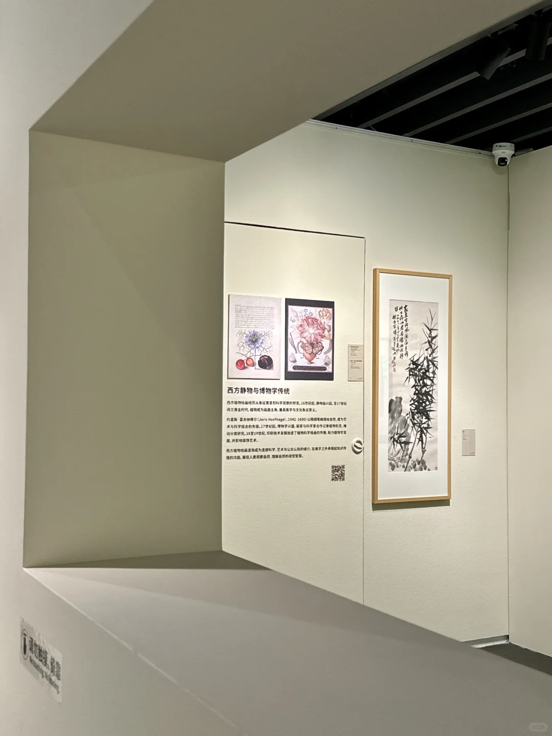 深圳新展！植物的美好香气，隔着屏幕都闻到了