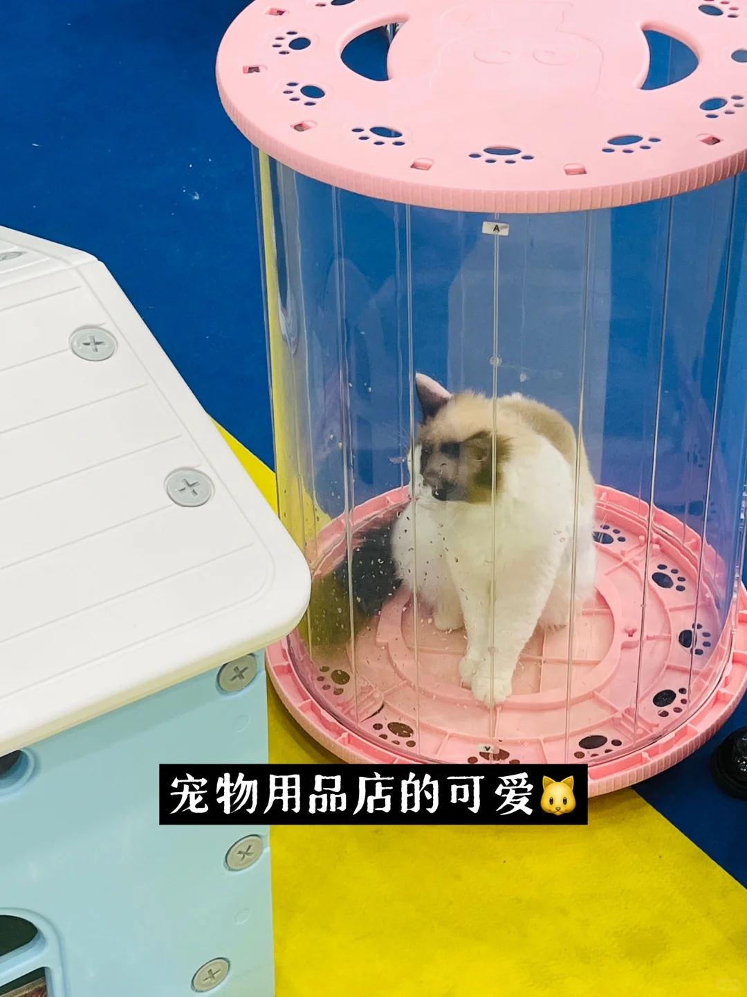 小白勇闯宁波跨境电商博览会