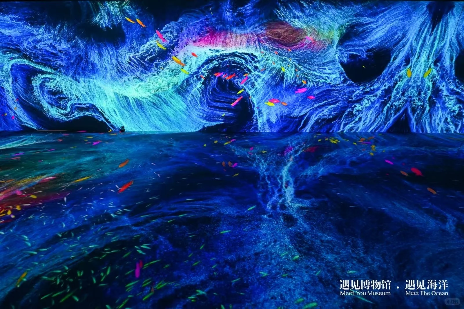 ?#遇见海洋奇幻光影展?