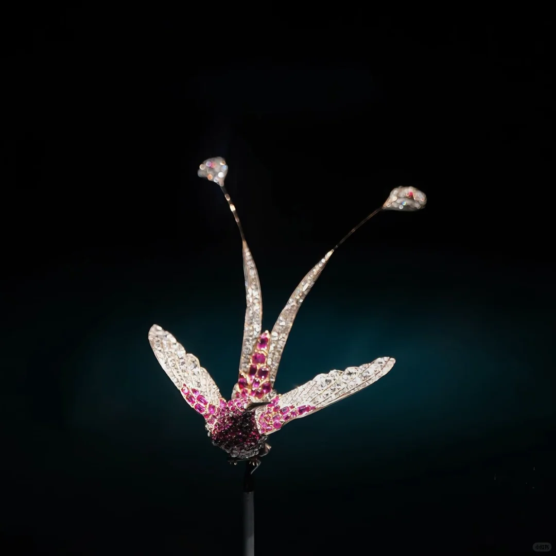 oh～diamonds best friend钻石是最好的朋友