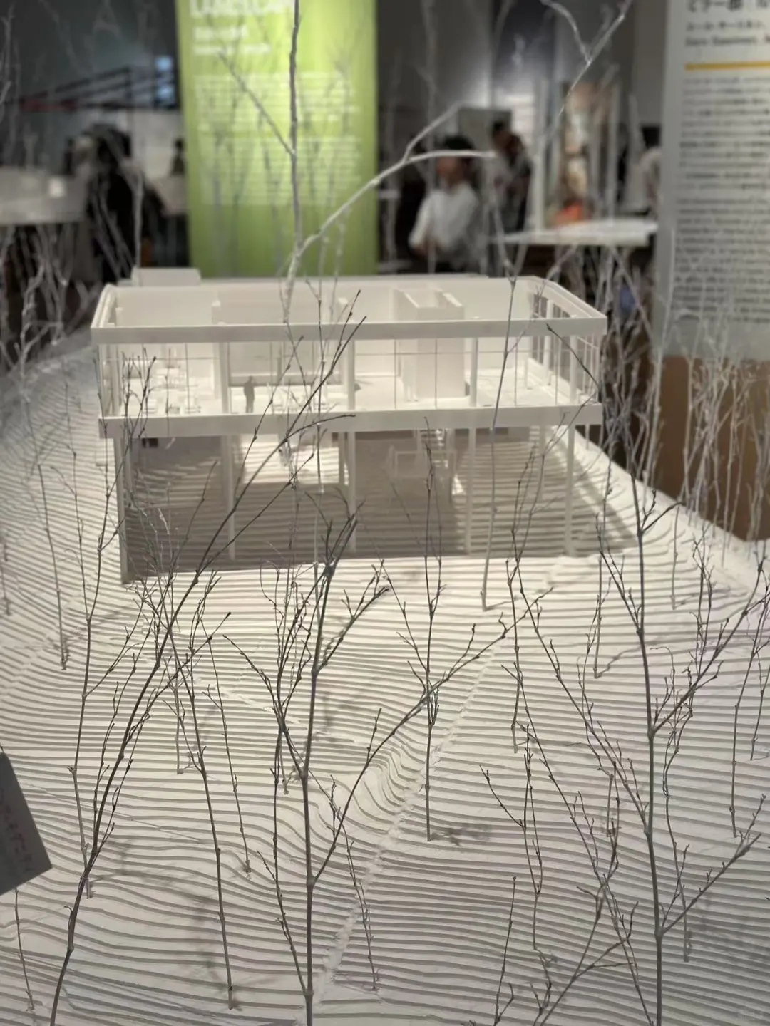 ??东京国立新美术馆建筑设计展??