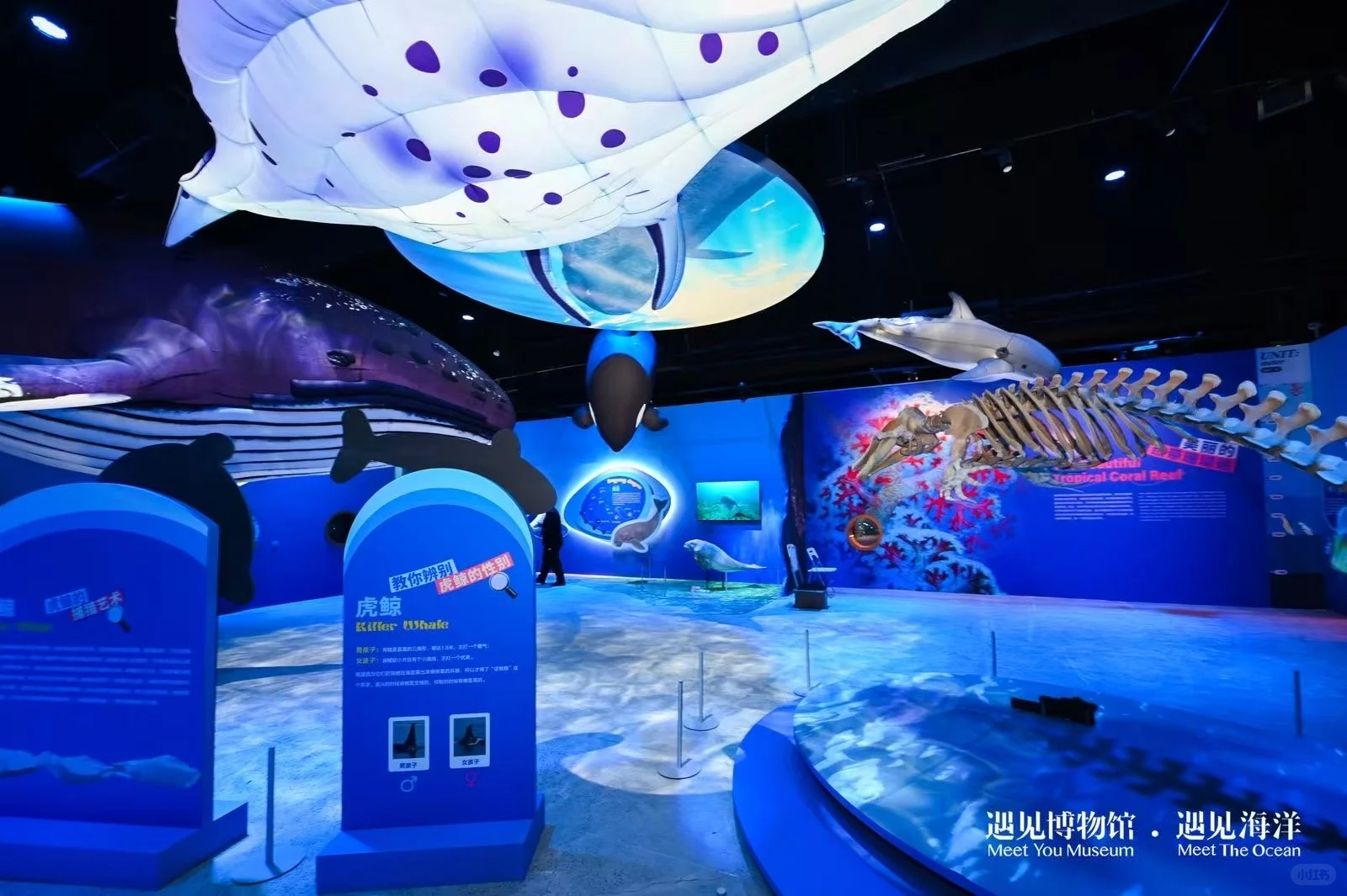 ?#遇见海洋奇幻光影展?