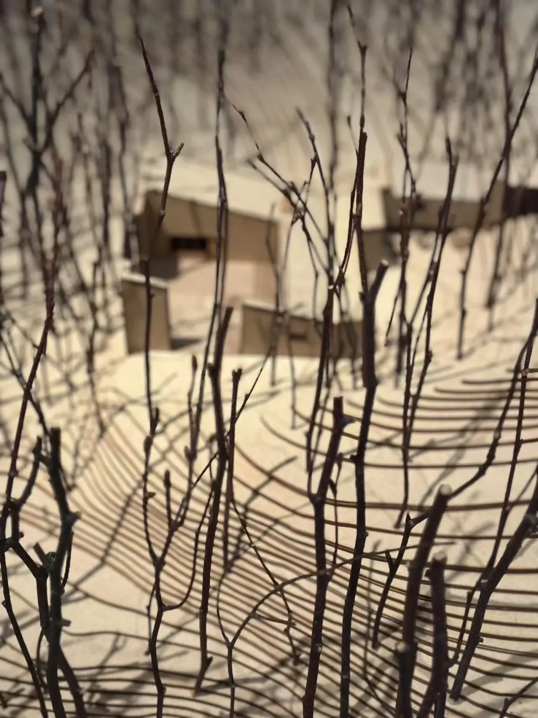 ??东京国立新美术馆建筑设计展??