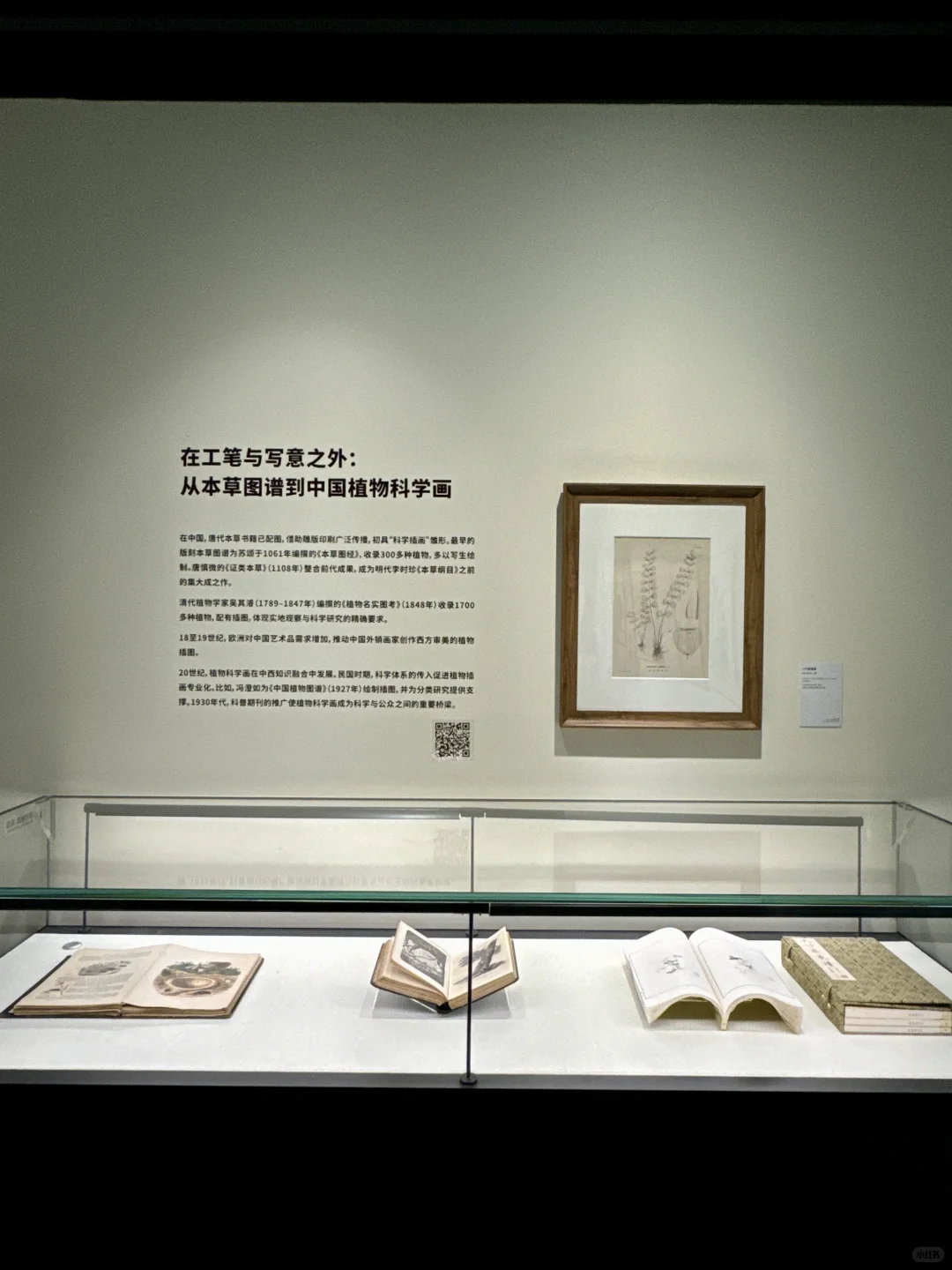 深圳新展！植物的美好香气，隔着屏幕都闻到了