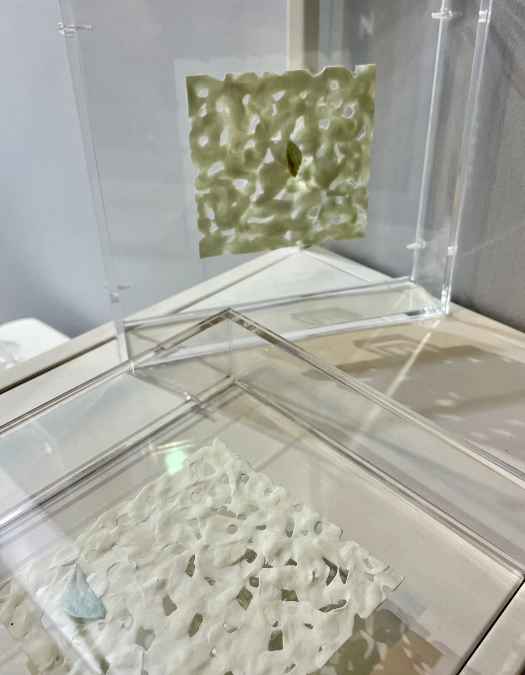 看展｜2025设计上海