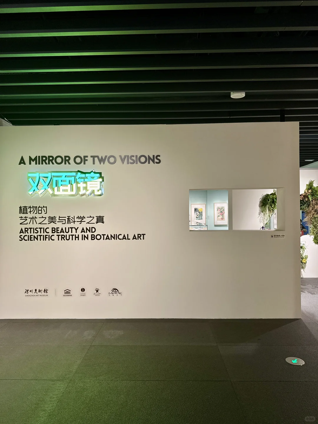 深圳新展！植物的美好香气，隔着屏幕都闻到了
